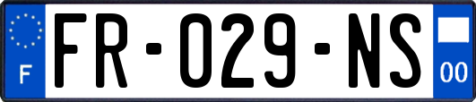 FR-029-NS