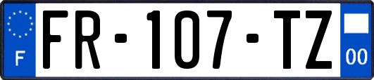 FR-107-TZ