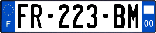 FR-223-BM