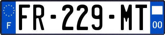 FR-229-MT