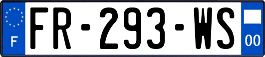 FR-293-WS