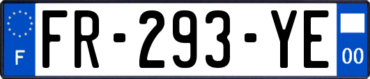 FR-293-YE