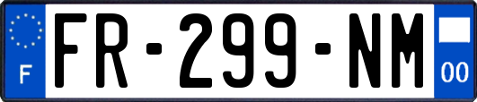 FR-299-NM