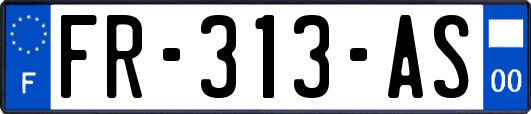 FR-313-AS