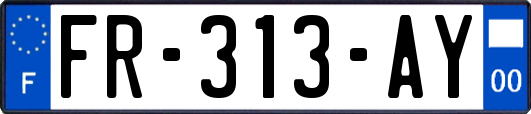 FR-313-AY