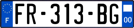 FR-313-BG