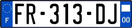 FR-313-DJ