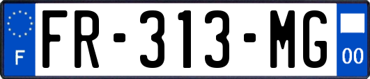 FR-313-MG