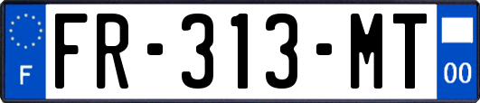 FR-313-MT