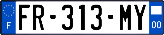 FR-313-MY