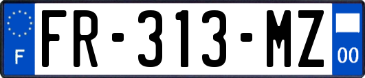 FR-313-MZ
