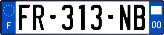 FR-313-NB