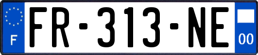 FR-313-NE
