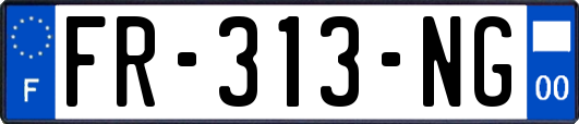 FR-313-NG