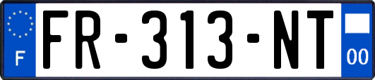 FR-313-NT