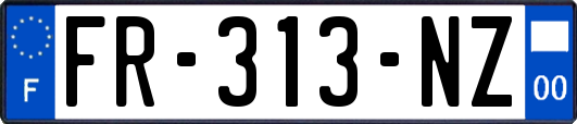 FR-313-NZ