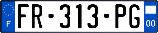 FR-313-PG