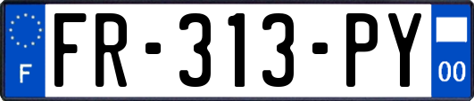 FR-313-PY