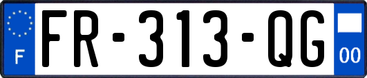 FR-313-QG