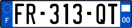 FR-313-QT