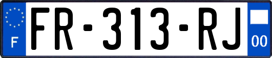 FR-313-RJ
