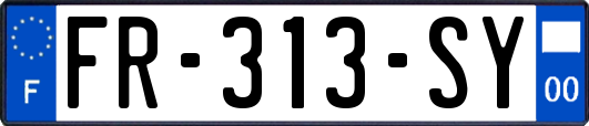 FR-313-SY