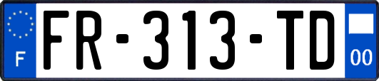 FR-313-TD