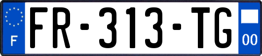 FR-313-TG
