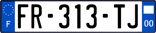 FR-313-TJ