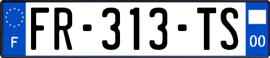 FR-313-TS