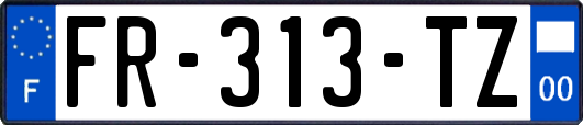 FR-313-TZ