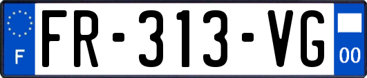 FR-313-VG