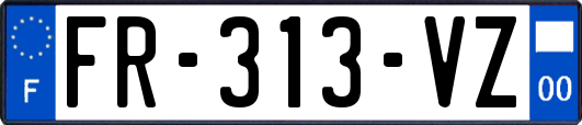 FR-313-VZ