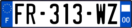 FR-313-WZ