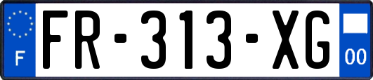 FR-313-XG