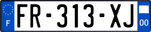 FR-313-XJ