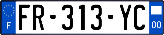 FR-313-YC