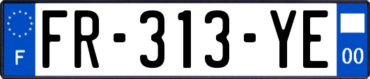 FR-313-YE