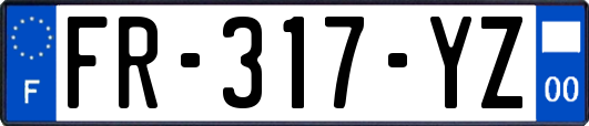 FR-317-YZ