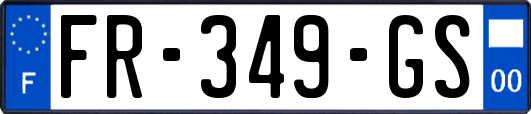 FR-349-GS