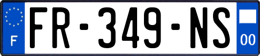 FR-349-NS