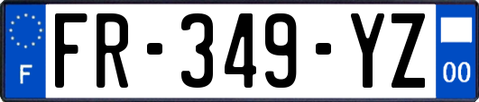 FR-349-YZ