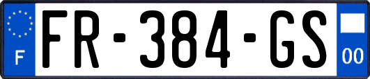 FR-384-GS