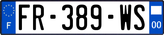 FR-389-WS