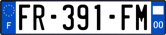 FR-391-FM