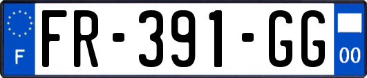 FR-391-GG