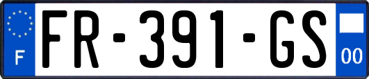 FR-391-GS