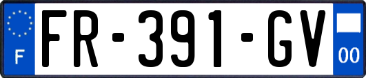 FR-391-GV