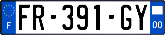 FR-391-GY