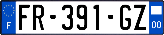 FR-391-GZ